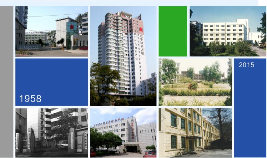 發(fā)展歷程(圖1) 發(fā)展歷程(圖1)